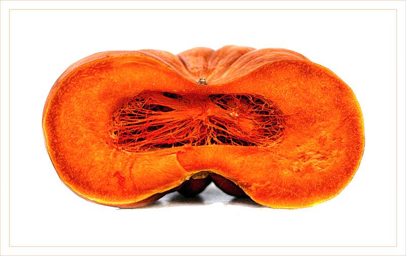 Spiders Web.jpg - Set Print comp Still Life